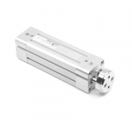 Двухштоковый пневмоцилиндр PTRM-80-025 Pemaks